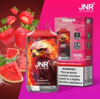 Jnr Falcon 16k রিচার্জেবল ডিসপোজেবল ভ্যাপ পাইকারি